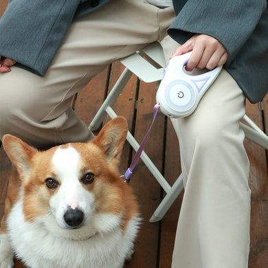 SafeWalk Pro — LED Retractable Dog Leash | Be Seen. Stay Safe