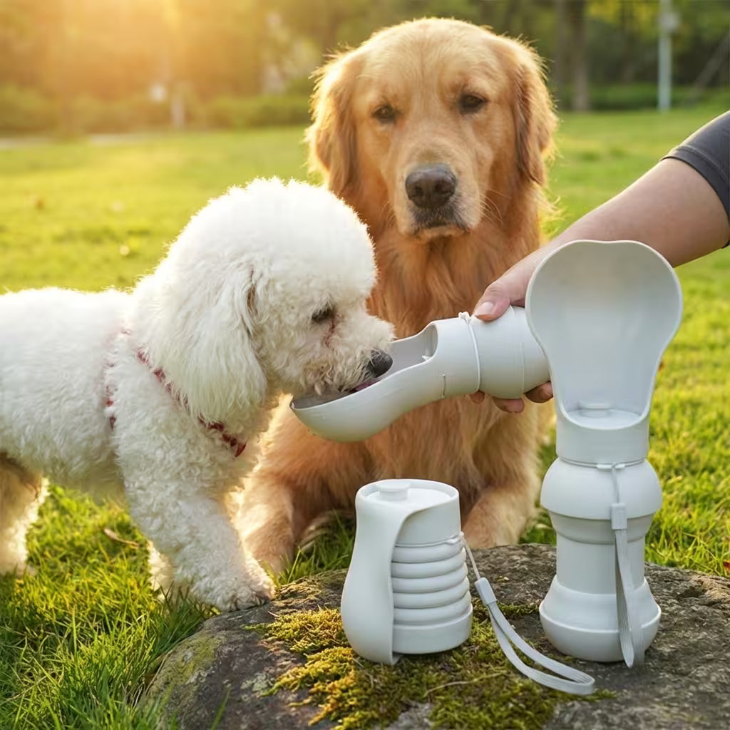 PawSip™ Foldable Water Bottle