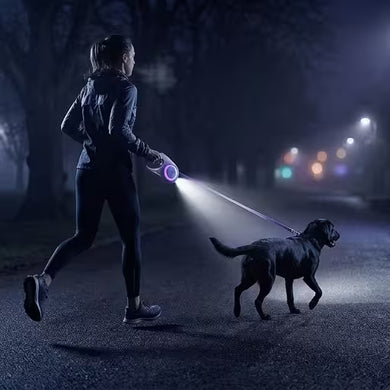 SafeWalk Pro — LED Retractable Dog Leash | Be Seen. Stay Safe